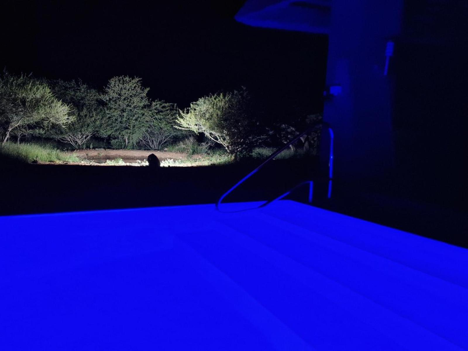 Thandolwami Bushlodge & Spa Hoedspruit Room photo