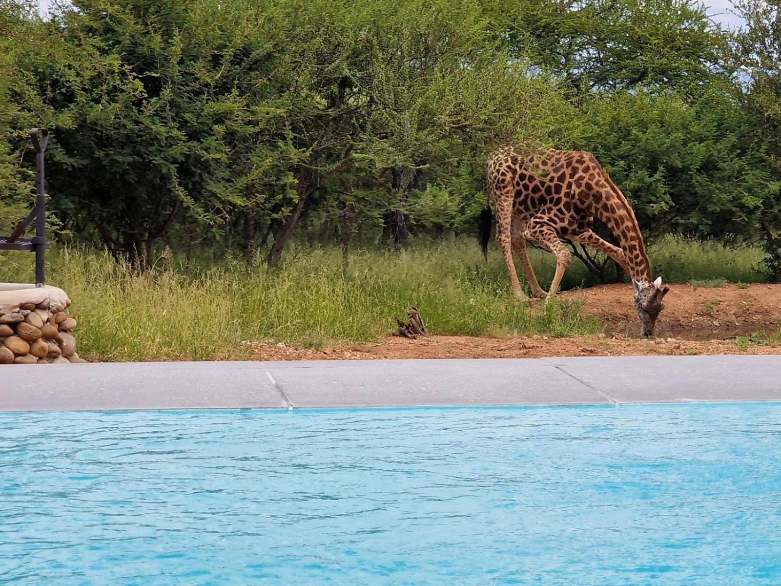 Thandolwami Bushlodge & Spa Hoedspruit Exterior photo