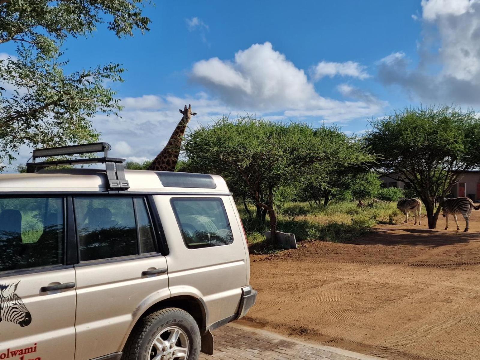 Thandolwami Bushlodge & Spa Hoedspruit Exterior photo